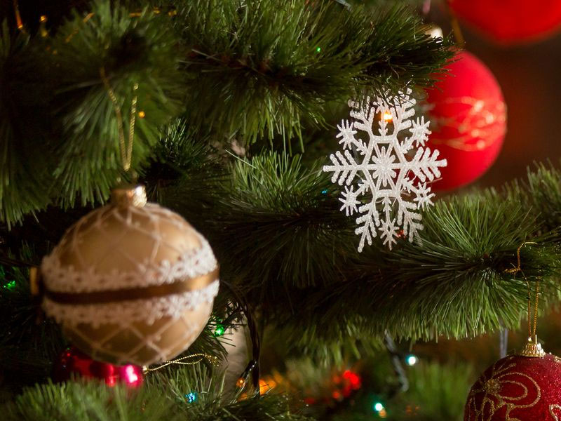 Christmas Tree Recycling